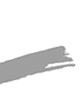 end of Bassett Photographic logo